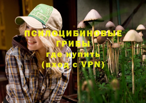 ECSTASY Протвино